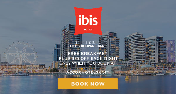 Ibis Wintervention